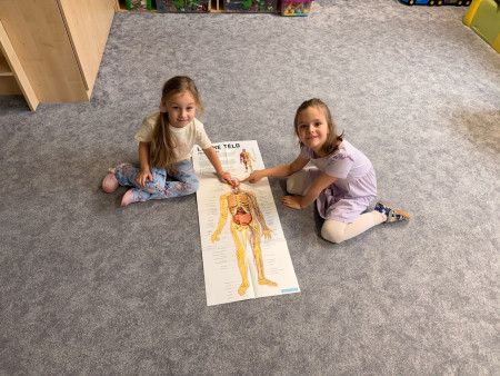 Dozvěděly jsme se spoustu zajímavostí o našem těle 